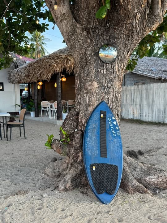 BAIA Family guest photo