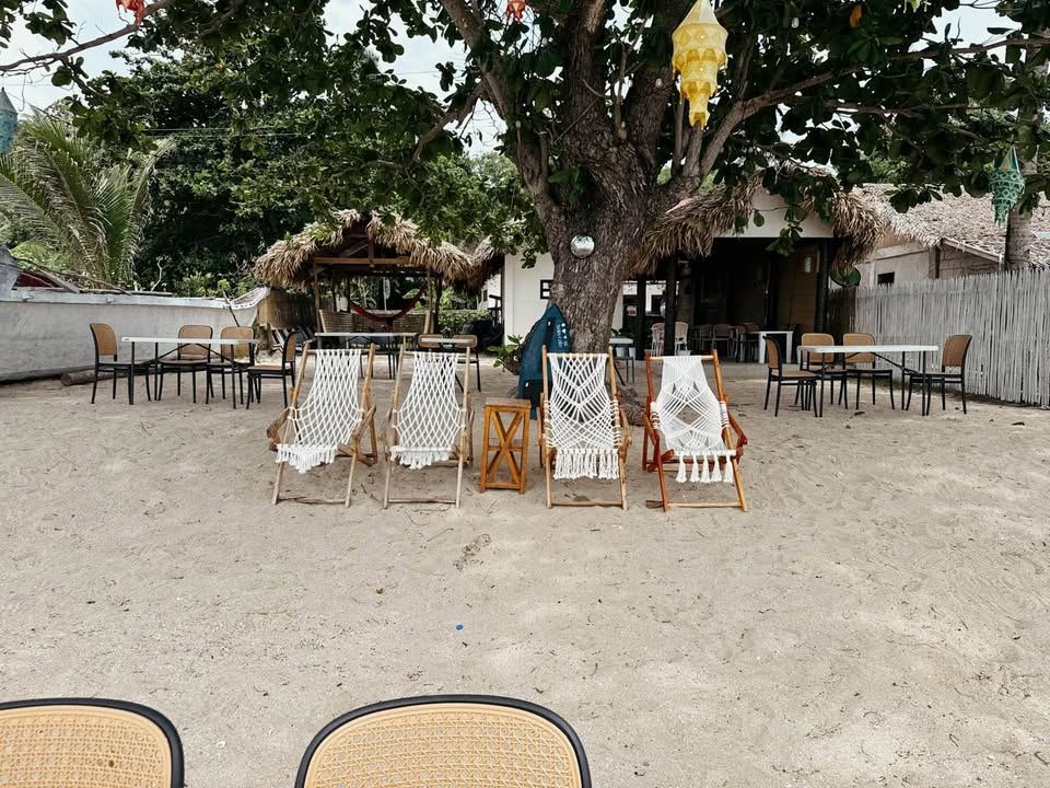 BAIA Family guest photo