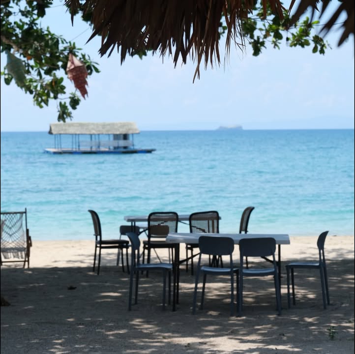 BAIA Family guest photo